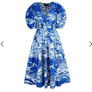 NWT Blue Printmaking Taffeta Midi Dress